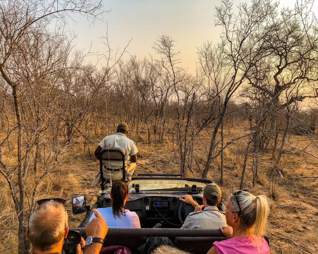 Off road at Sabi Sand Game Reserve in the Greater Kruger Image
