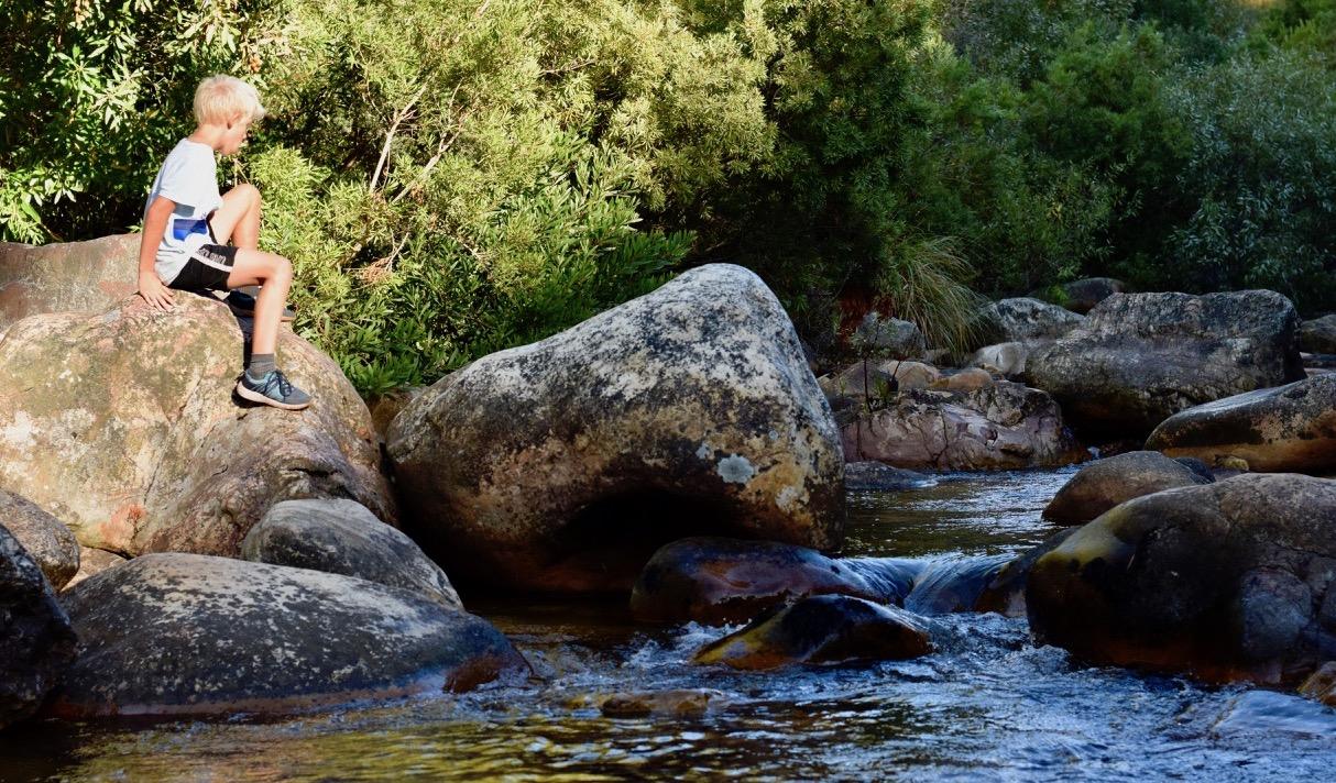 Kids are so comfortable with nature Image