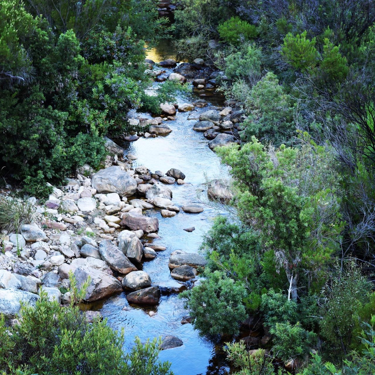Krom river's pristine river views Image