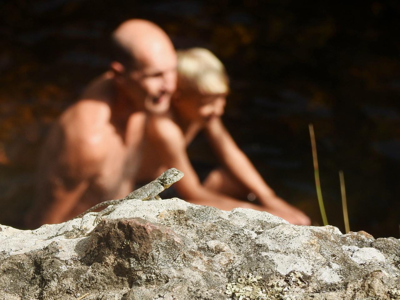 Krom river juvenile lizard and the new human generation Image