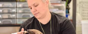 The Endangered Pangolin and Johannesburg Wildlife Vet’s Brave Fight for Their Existence
