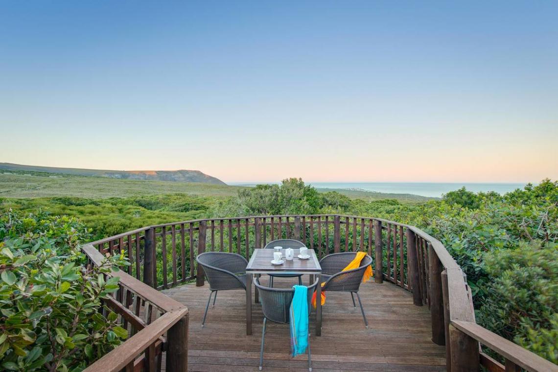 Why Grootbos Private Nature Reserve should be at the top of your eco-friendly travel list for 2019
