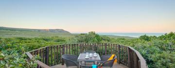 Why Grootbos Private Nature Reserve should be at the top of your eco-friendly travel list for 2019