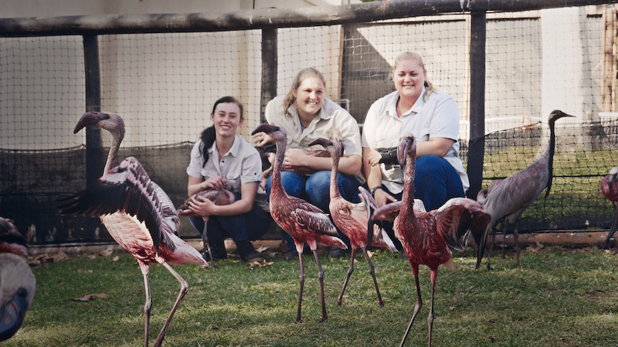 Lee Anne Wolfaarst, Elain Reeve and Michelle van Stittert Image