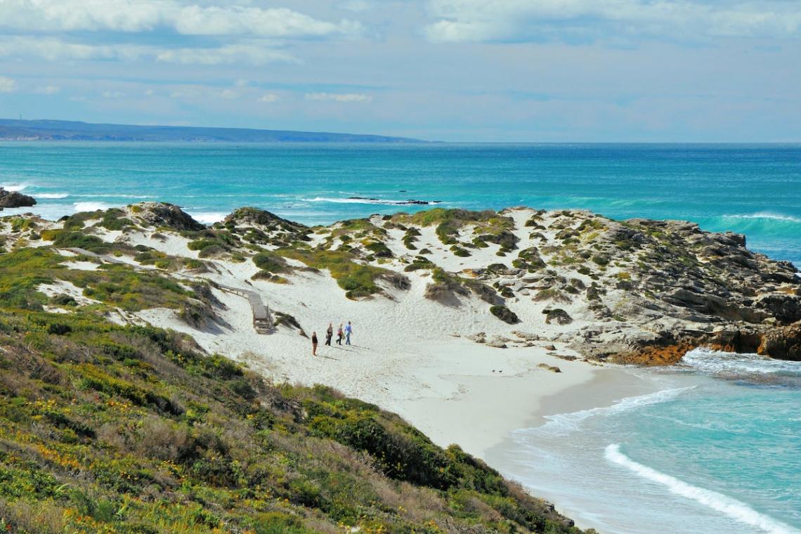 Discover the wonderful world of fynbos at De Hoop Nature Reserve on a family-friendly getaway
