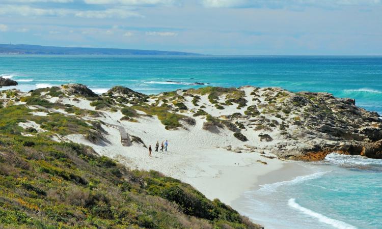 Discover the wonderful world of fynbos at De Hoop Nature Reserve on a family-friendly getaway