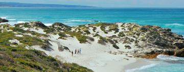 Discover the wonderful world of fynbos at De Hoop Nature Reserve on a family-friendly getaway