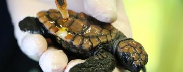 Cape Town's Two Oceans Aquarium: More than just an aquarium