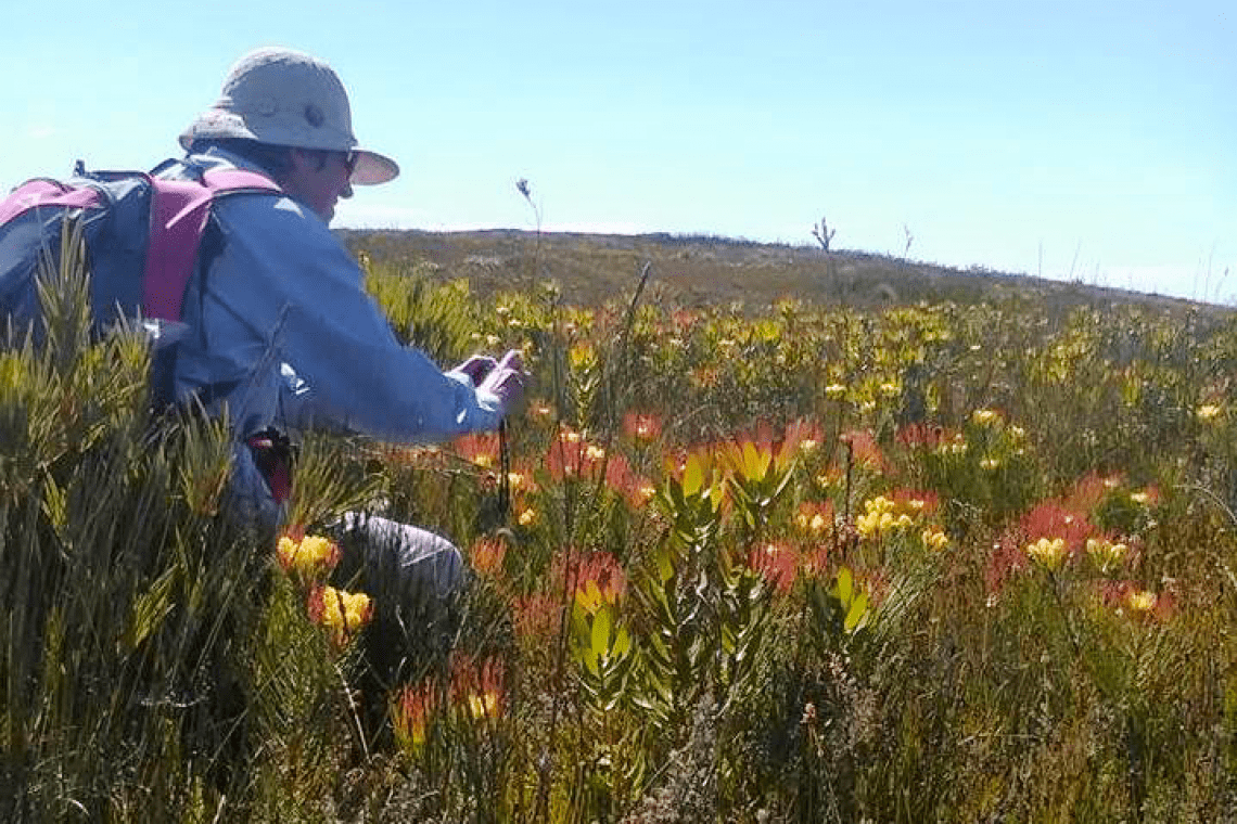 Kogelberg Nature Reserve hike: Oudebosch Office to Stokoe’s Bridge