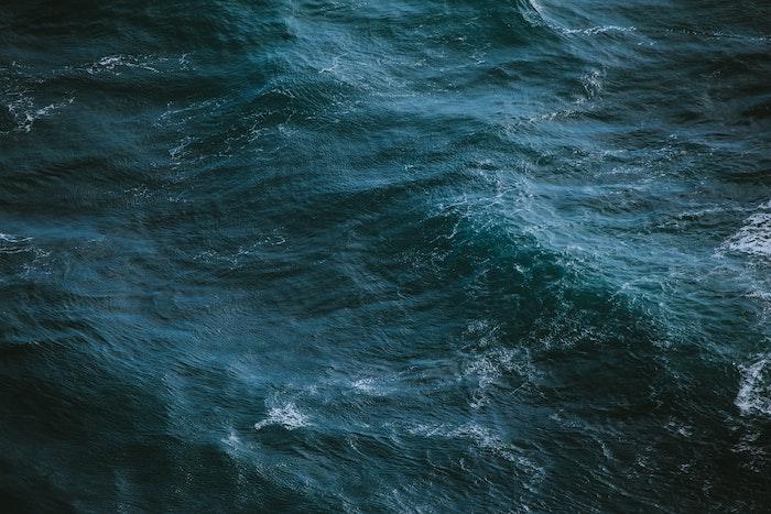 UN Negotiations on BBBJ formally began in 2018, photo by Ivana Cajina on Unsplash Image