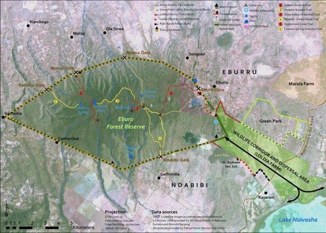 The community spells their name differently to the forest reserve, as in Eburru rather than Eburu. If you look on the map you will notice that the Forest is Eburu whereas the community is known as Eburru, somewhat confusing but important regarding the correct spelling for the forest. Image