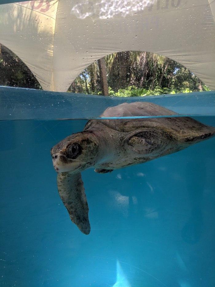 A patient in the ORP rehabilitation centre - ORP/Ibrahim Shameel Image