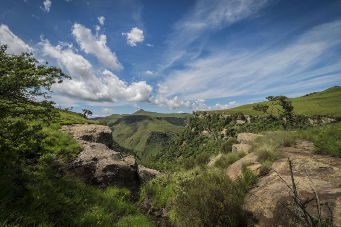 The Ncandu Private Forest and Grassland Reserve was among the 26 reserves to be assisted through this legal process. Credit: Angus Burns/WWF South Africa