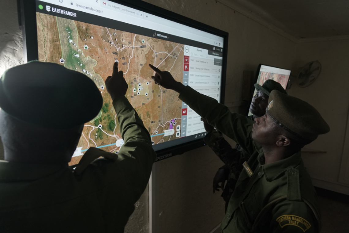 Protecting rhinos: a Kenyan reserve has gone digital