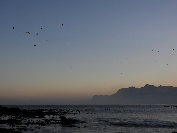 Landscape iso 100 50mm (9) f3.5 1/640 Image