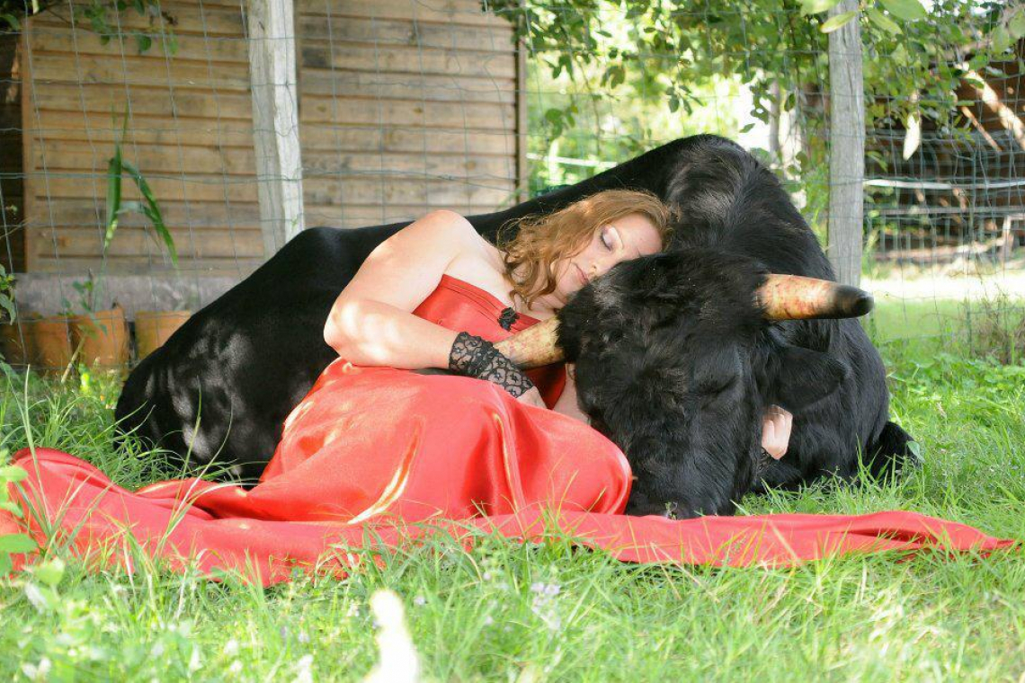 Bullfighting in Spain
