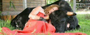 Bullfighting in Spain: Cruelty Your Travel Money Should Not Support