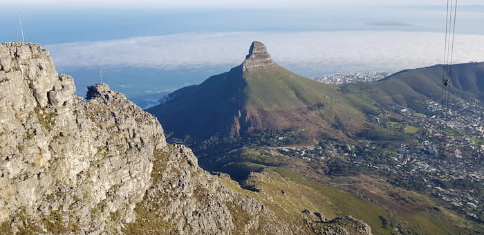 Walk past the King Protea section and you’ll find yourself right under the base of the upper cable Station. Perfect time for pictures. Photo Jay Caboz Image