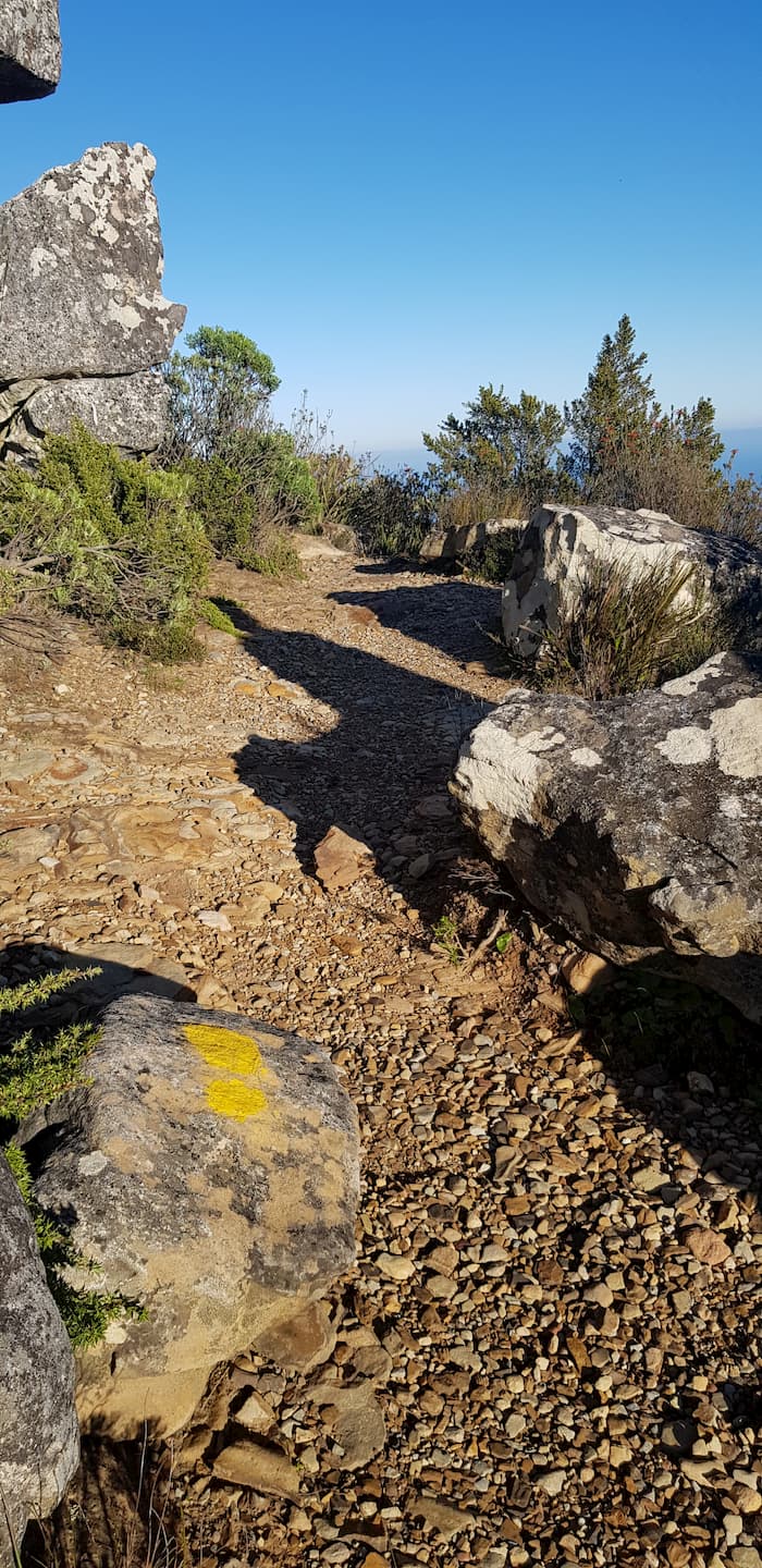 Follow the yellow footprints. Photo Jay Caboz Image