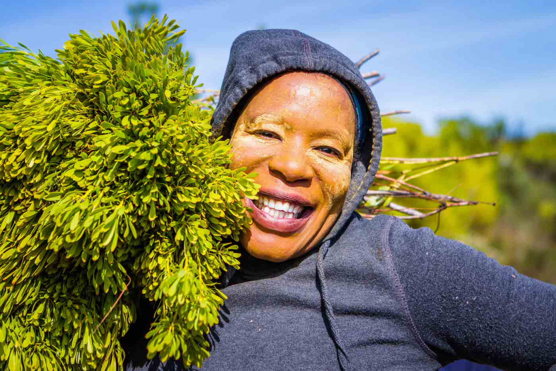 Sustainable use of land vital for the protection of fynbos