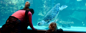 Two Oceans Aquarium: World Class Conservation for 25 Years