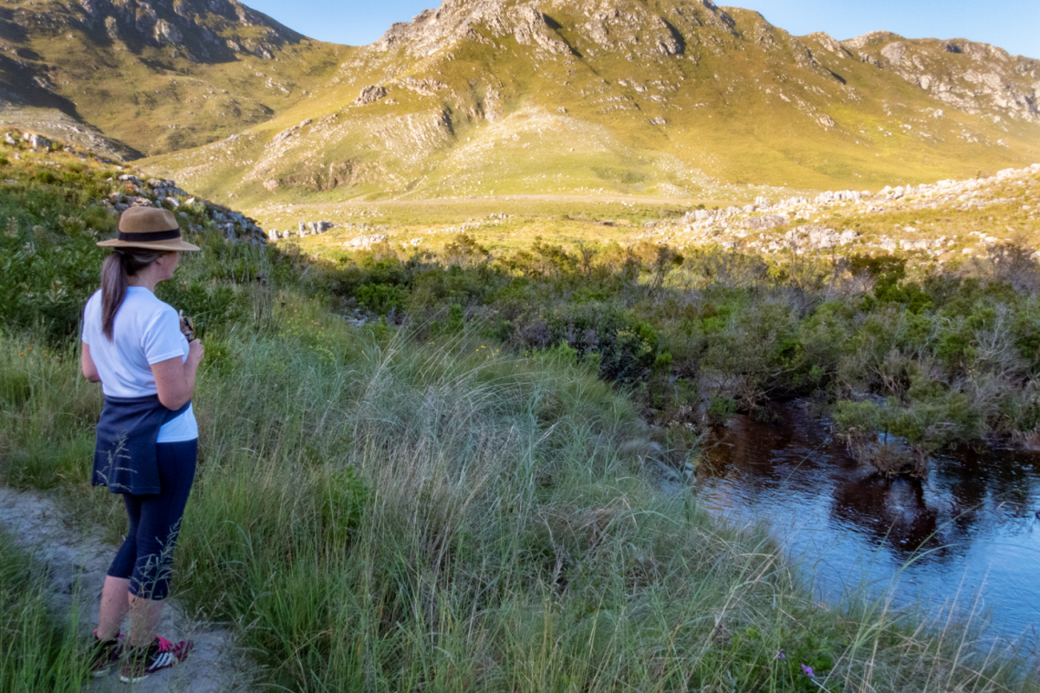 Kogelberg Nature Reserve’s Mbali Eco-cabins: Outdoors without leaving a footprint