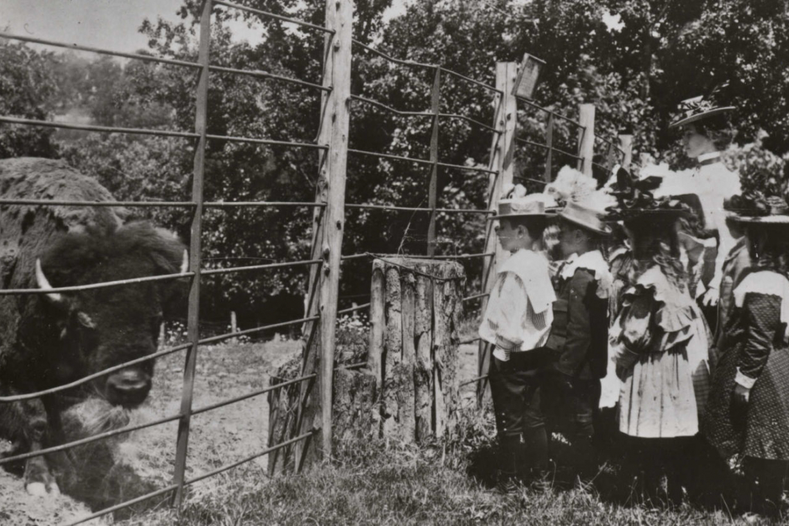 History of Wildlife Conservation: An Open Eyed Account