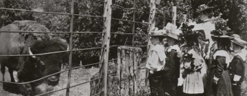 History of Wildlife Conservation: An Open Eyed Account