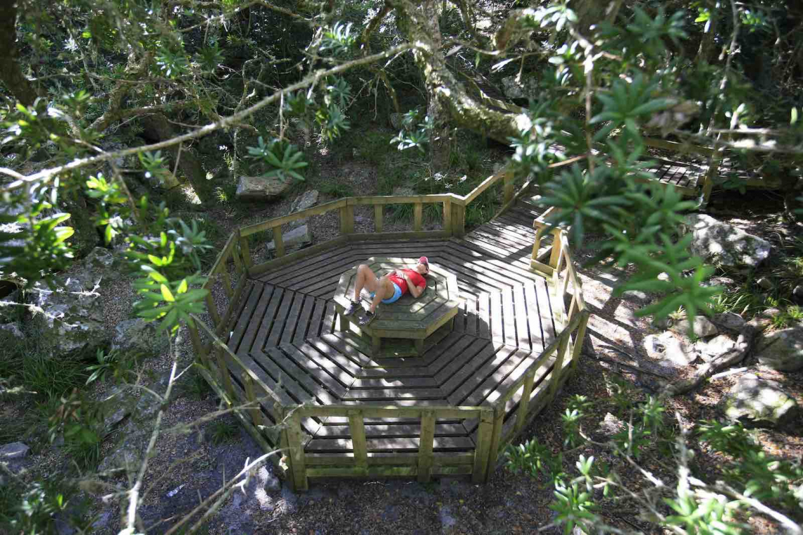 Table Mountain Forest Bathing and Forest Bathing Spots
