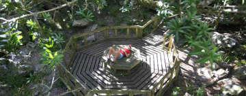 Table Mountain Forest Bathing and Forest Bathing Spots