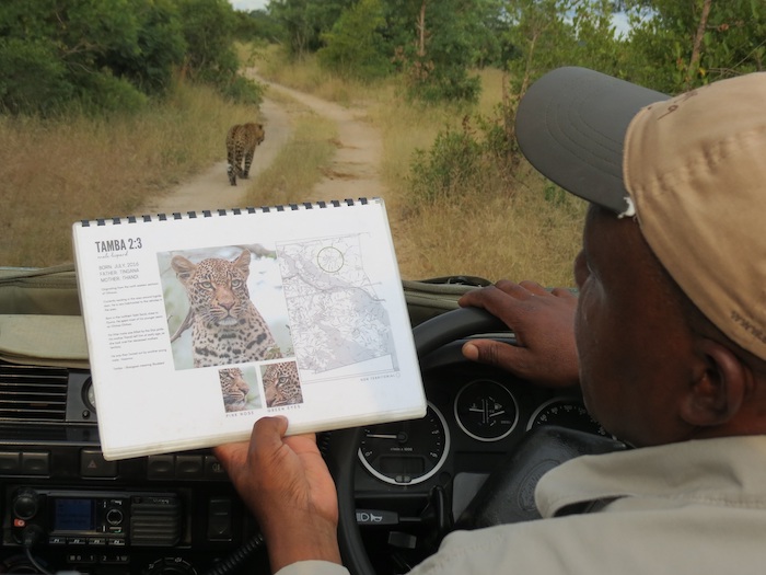 Part of conservation efforts includes keeping detailed records of wildlife encountered Image