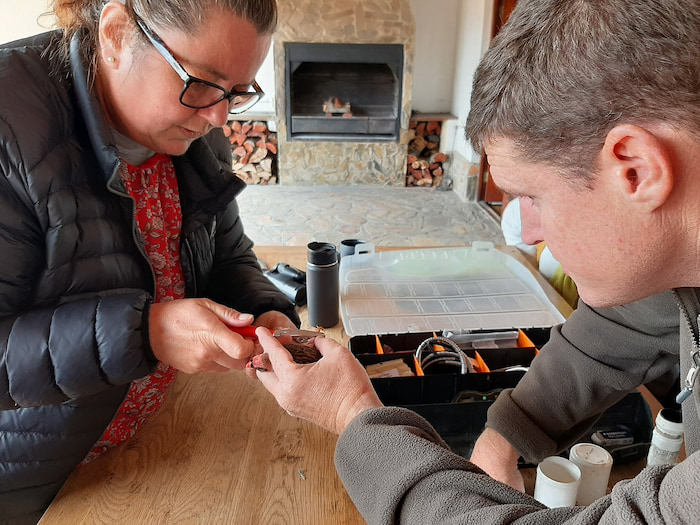 Roam is possibly the only game reserve that offers regular bird ringing as an activity for guests, who are supervised by experienced and registered bird ringers. Image