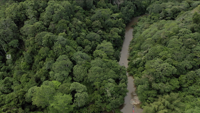 The Busang Ecosystem, where Nigel will soon taste freedom Image
