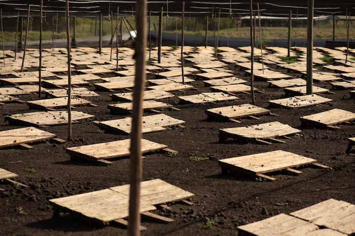 Snails - Sustainable Land Use Image