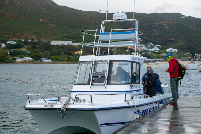 Getting ready for the Cape Town Pelagics boat trip Image