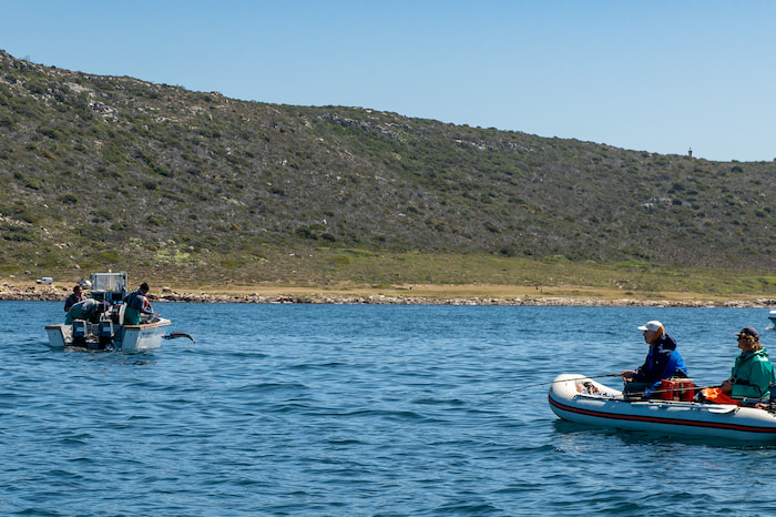 Local fishermen catching fish using hand-lines Image