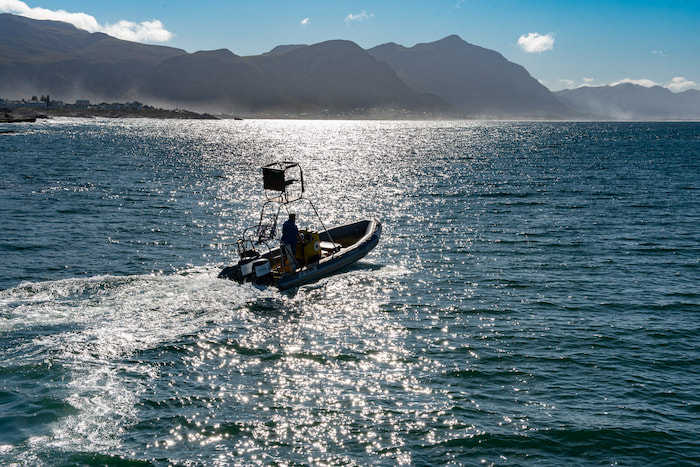 Mammal Research Institute Whale Unit early morning departure Image