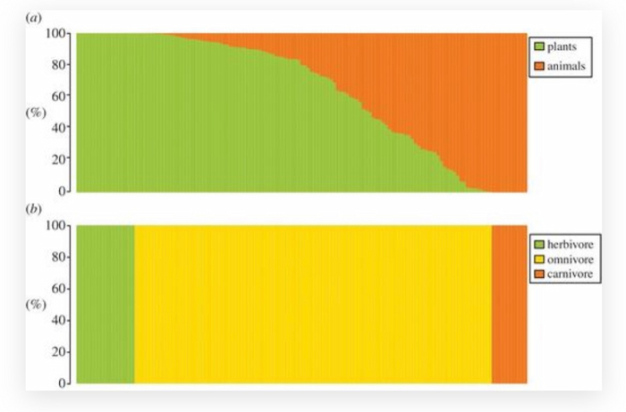 Mammal classification carnivore, omnivore or herbivore does not represent the actual feeding habit splits Image