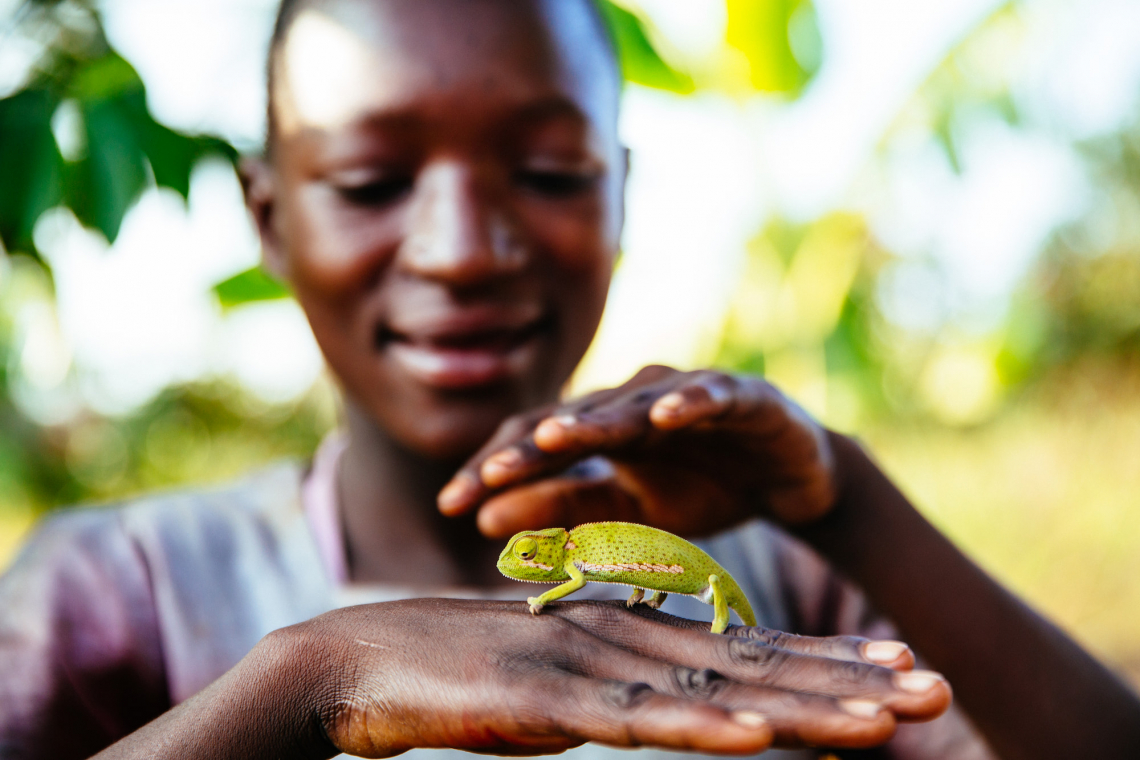 WWF Living Planet Index Report