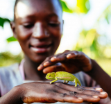 2022 Living Planet Index Report: Summary of the Top Ten Issues