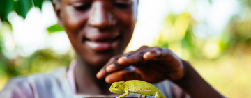 2022 Living Planet Index Report: Summary of the Top Ten Issues