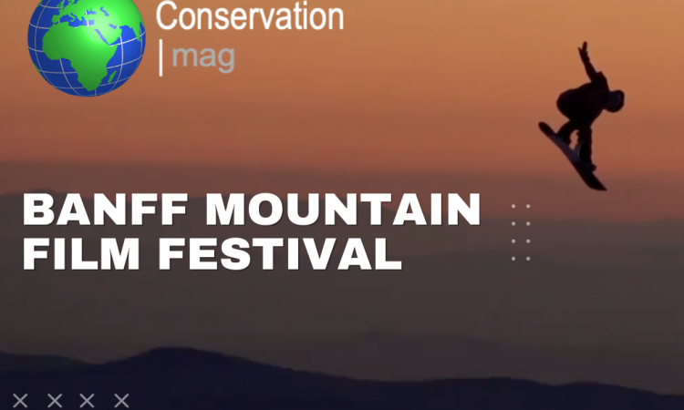 The Oscars for Adventurers