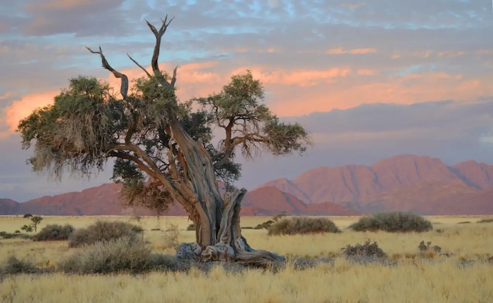 namibia landscape