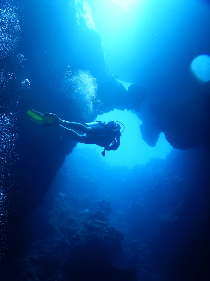 jellyfish lake