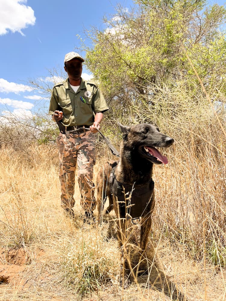 Photo by: Mia Stawinski anti poaching unit namibia