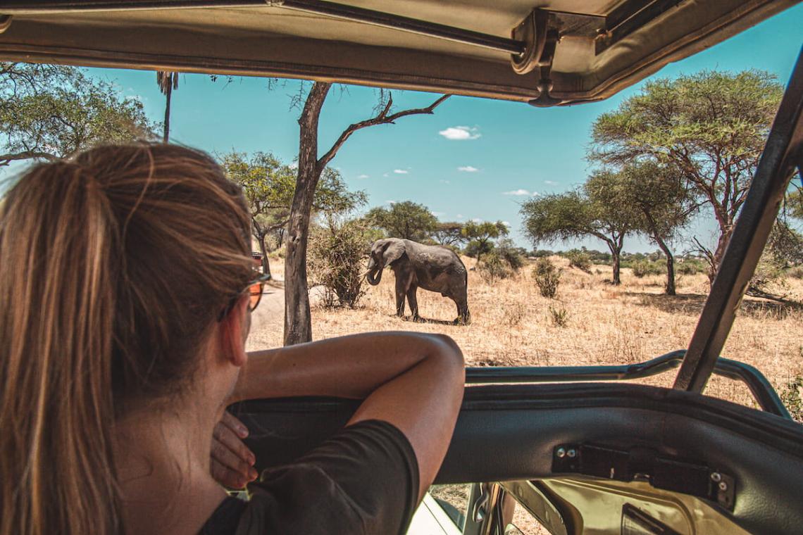 safari safety africa