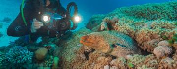 Captivating Videos of Wildlife: Share Your Adventures with Our Conservation Magazine