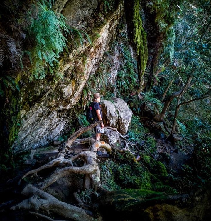 Adriaan Buys Keynote Speaker Environmental Issues