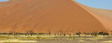 Climate Change Desertification – Impacts on Fragile Ecosystems