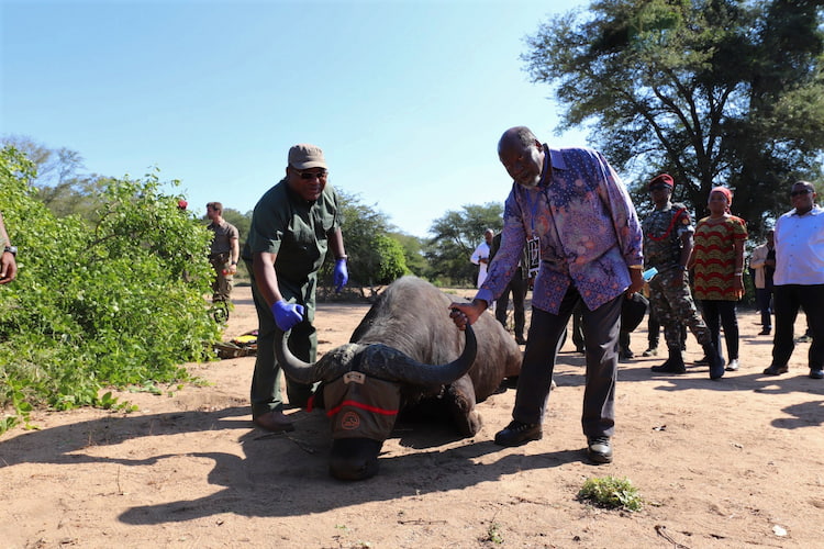 donate to journalism